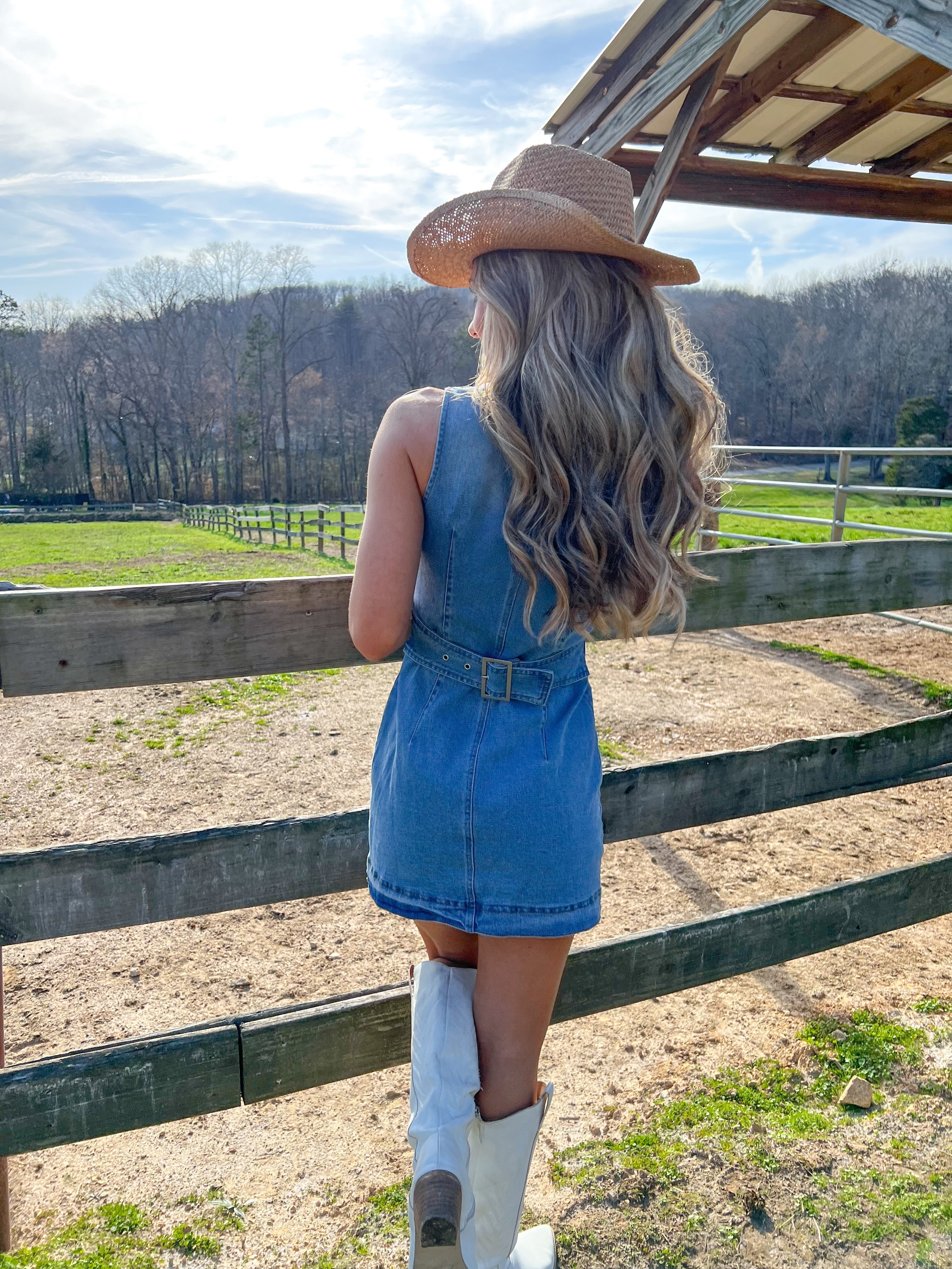 Sophisticated Lady Denim Mini Dress