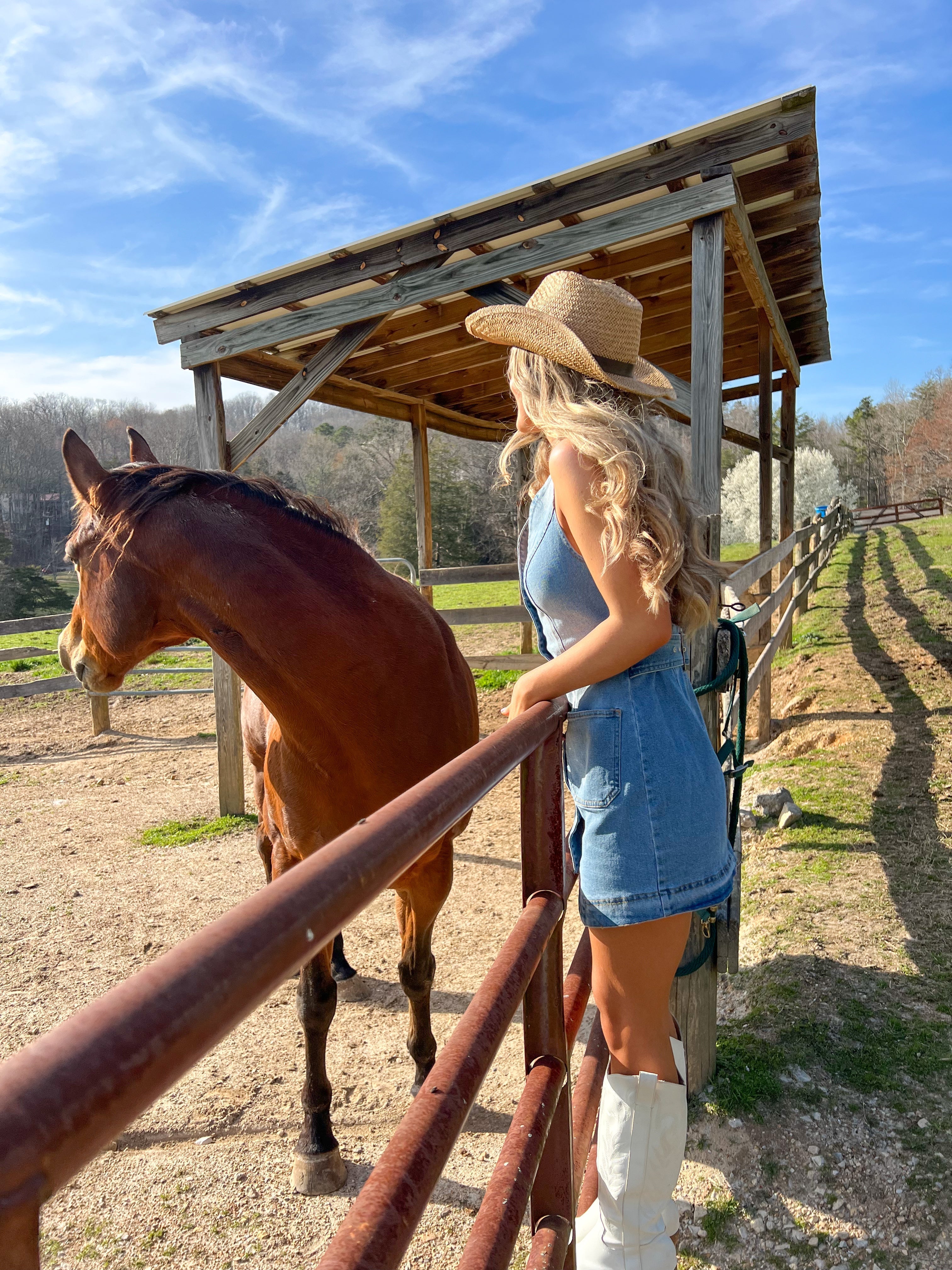 Sophisticated Lady Denim Mini Dress