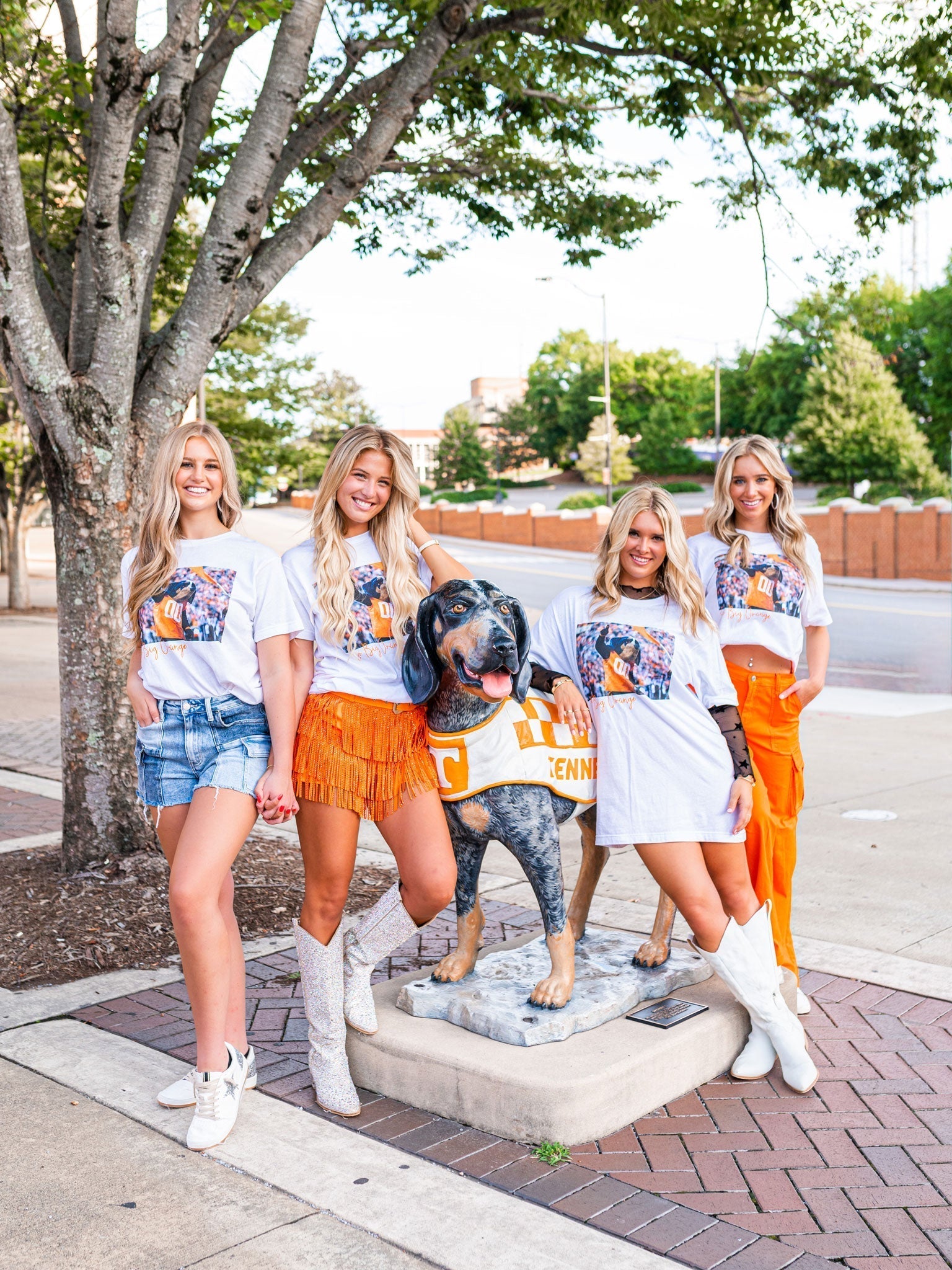 University of Tennessee Stadium T-Shirt