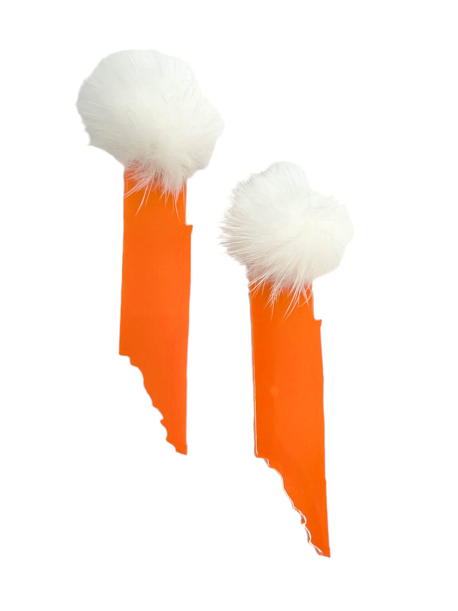 Tennessee State Earrings